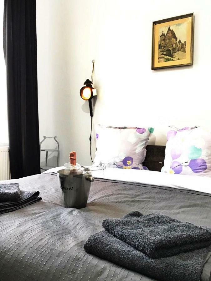 Mansion Josephina Apartment Cluj Napoca Bagian luar foto