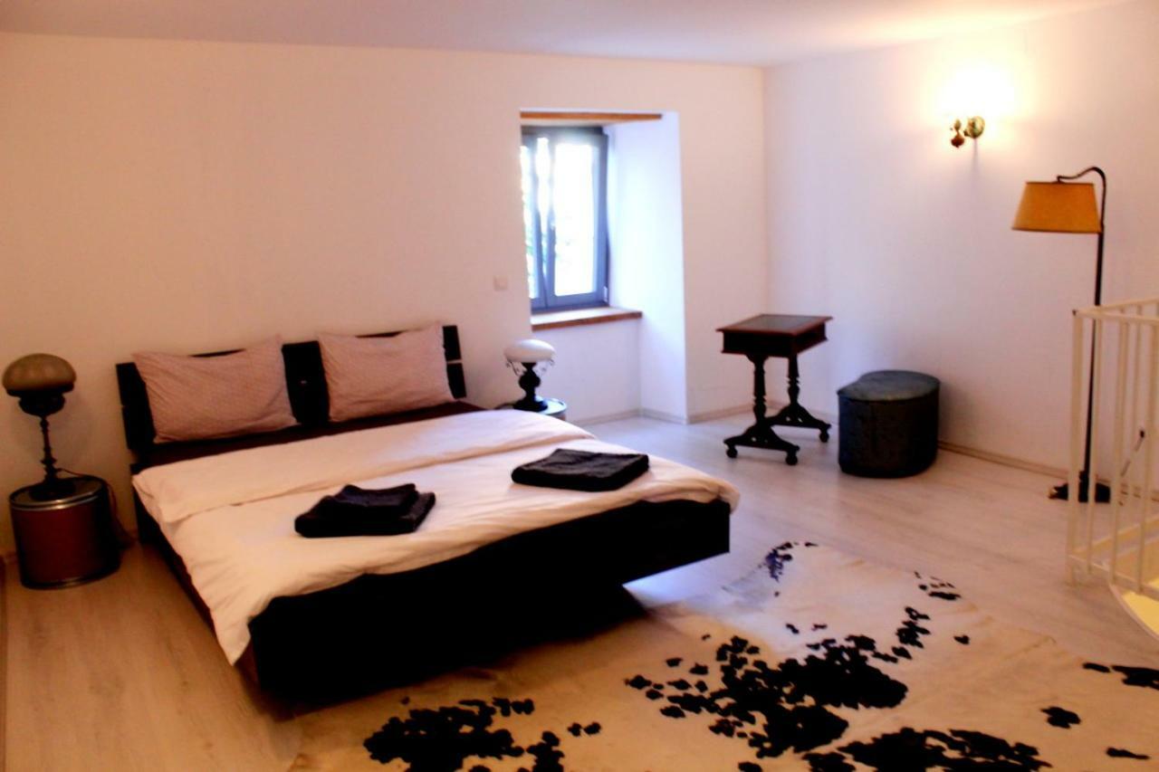 Mansion Josephina Apartment Cluj Napoca Bagian luar foto